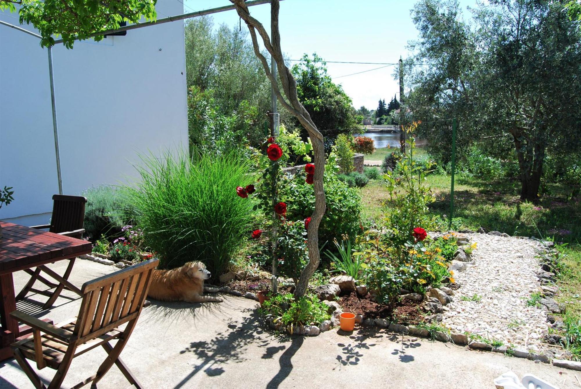 Rustic Holiday Home Miketa Lukoran Екстер'єр фото